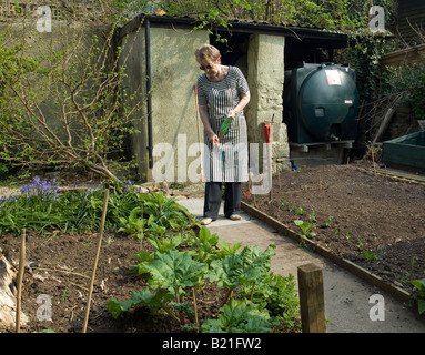 WOMAN GARDENER IN VEGETABLE PLOT PLANTING SEEDS IN SPRING APRIL UK Multiple values Stock Photo