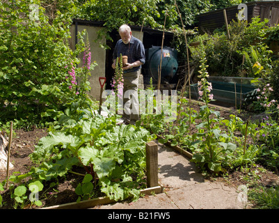GARDENER IN VEGETABLE AND FLOWER PLOT IN SPRING MAY UK FOR GROWING SEQUENCE SEE ARWV Stock Photo