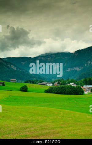 Meadow, village of Schwarzenberg, Bregenzerwald district, Vorarlberg region, Austria Stock Photo