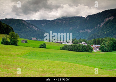 Meadow, village of Schwarzenberg, Bregenzerwald district, Vorarlberg region, Austria Stock Photo