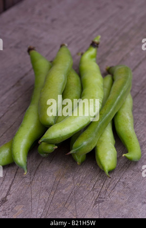 broad bean pods Stock Photo