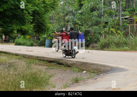 bird whistling contest,Caged Bulbul  songbirds,  kuanmaidum village, palian district, trang province, south thailand Stock Photo