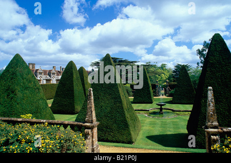 Pyramid like shaped trees Athelhampton House and Gardens Dorset England Stock Photo