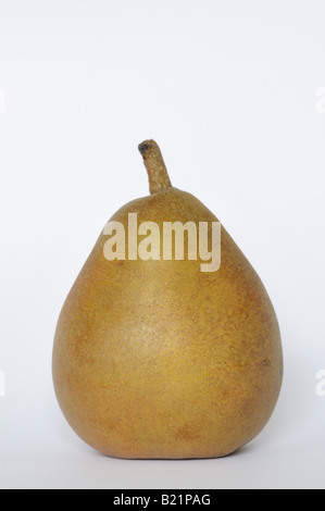 Taylors Gold Pear from New Zealand on white cut out background Stock Photo