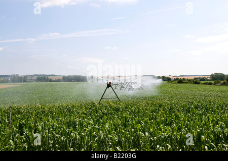 Maize / sweet corn irrigation system, Vienne, France. Stock Photo