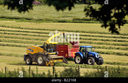 A self propelled New Holland forage harvester collects cut silage and discharges it into the silage trailer Stock Photo