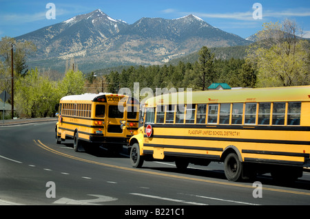 Schoolbuses along the road near the San Francisco Peaks a volcanic mountain range and landmark in Flagstaff Arizona Stock Photo
