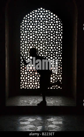 Window of HUMAYUNS TOMB a fine example of MUGHAL architecture NEW DELHI INDIA MR Stock Photo