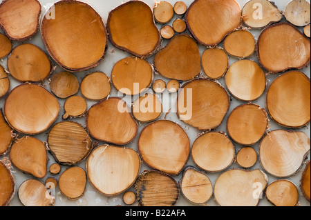 Silver Birch wood pattern, part of the The Widex Hearing Garden, Hampton court palace flower show 2008 Stock Photo