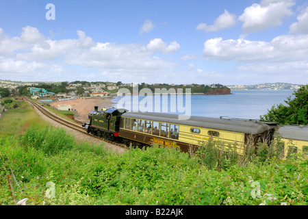 A steam train on the Paignton to Dartmouth line passing Goodrington South near Paignton in Devon on a summer day Stock Photo