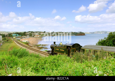 A steam train on the Paignton to Dartmouth line passing Goodrington South near Paignton in Devon on a summer day Stock Photo