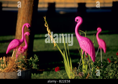 Plastic garden flamingoes at Steele Winery near Kelseyville Lake County California Stock Photo