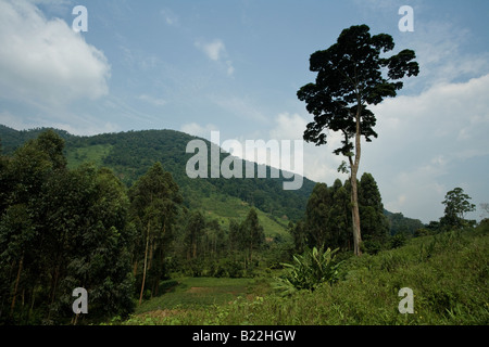 landscape uganda village Stock Photo