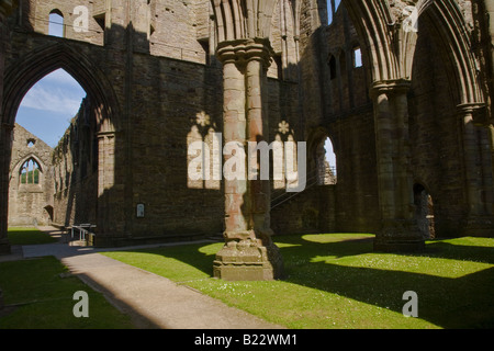 Inside North Transept, Tintern Abbey, with sunlit reflections on walls, and showing the night stairs used by the monks. Stock Photo