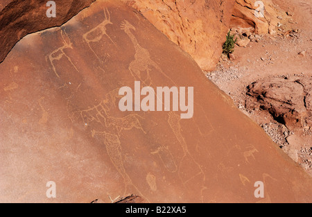 rock engravings of San tribe, Twyfelfontein national monument, Damaraland, Namibia, Africa Stock Photo