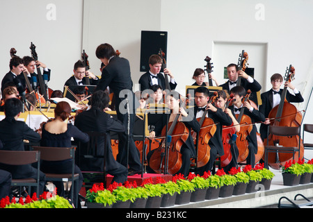 A string section of an orchestra at the Pacific Music festival in Sapporo, Japan. Stock Photo