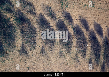 Black track marks on beige painted concrete Stock Photo