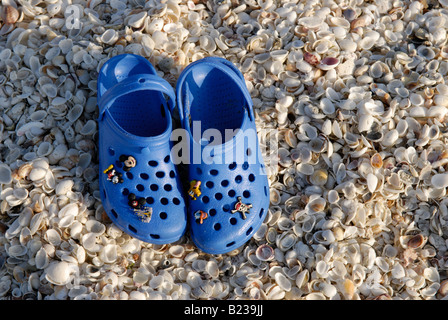 Child's blue Crocs on shells at beach Stock Photo