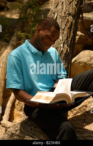 Man reading book under a tree Stock Photo