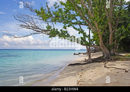 The beach on a quiet side of Sipadan Island Sabah Malaysia Stock Photo