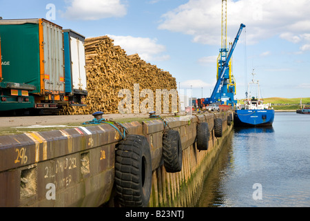 Timber stacked on the quayside Fehn Cartagena at Aberdeen City Harbour quay, Scotland uk Stock Photo