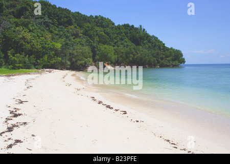 Beach and forest on Pulau Mamutik Tunku Abdul Rahman National Park Kota Kinabalu Sabah Malaysia Stock Photo