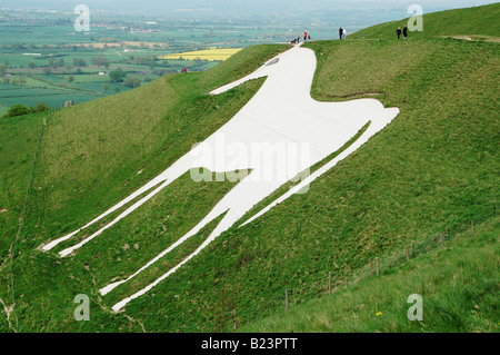Westbury White Horse in Wiltshire England UK Stock Photo