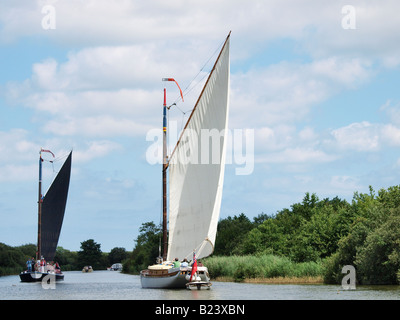 NORFOLK WHERRY ALBION AND WHITE MOTH SAILING PAST EACH OTHER NEAR  RANWORTH BROAD NORFOLK Stock Photo