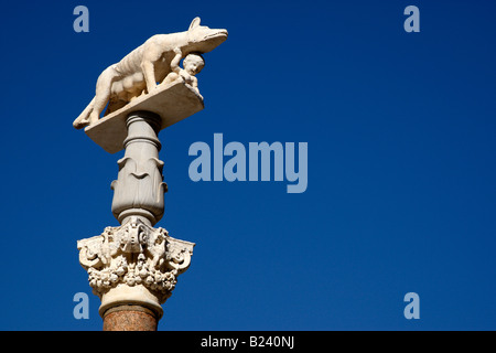 sienese wolf in the piazza del duomo siena tuscany southern italy europe Stock Photo