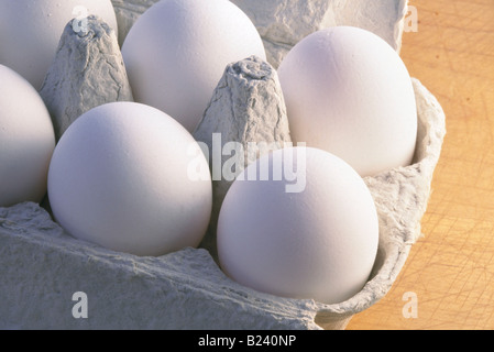 Eggs. Stock Photo