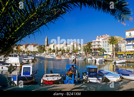 Sanary sur Mer harbour with local fisherman unloading his catch framed by palm tree Cote d Azur South of France Stock Photo