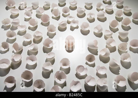 Egg surrounded by broken shells Stock Photo