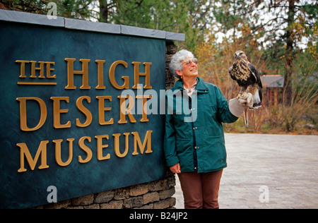 A woman volunteer and animal handler holds a beautiful red tailed hawk one of the exhibits at the High Desert Museum