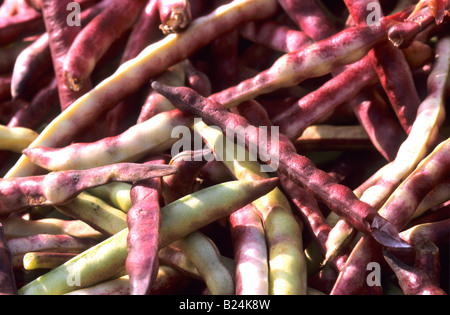 GREEN BEANS AND A VARIETY OF PEAS FARMER S MARKET Stock Photo