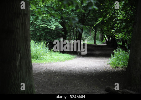 Picturesque pathway through Whippendell Woods Stock Photo
