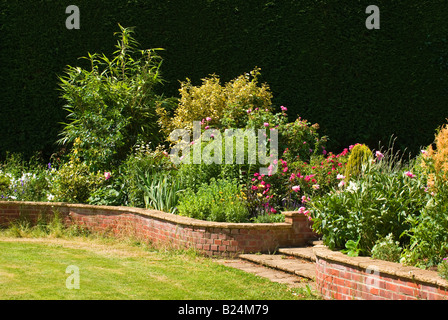 Mixed raised herbaceous and shrub border in July Stock Photo