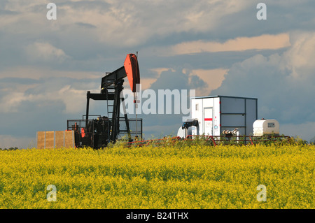 An oil pump in a field of canola Stock Photo
