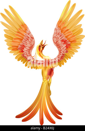 a-phoenix-rising-from-the-ashes-b24x6j.j