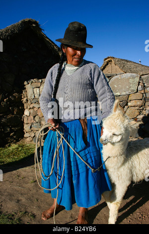 Indian woman and young Llama Puno Andes Peru Stock Photo