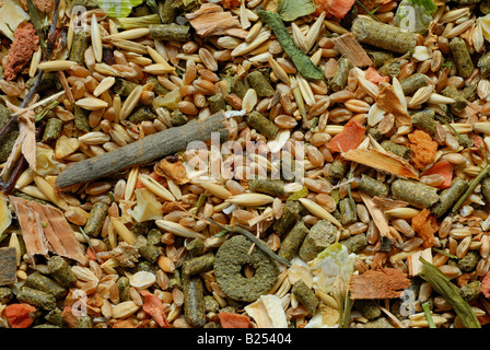 Food for rodents Stock Photo