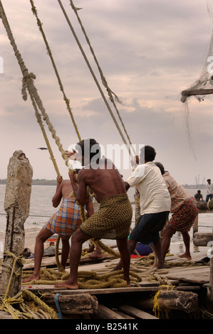 Indian men pulling in the Chinese fishing nets along the nothern shore of Fort Cochin Kochi Cochin Kerala India