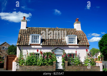 Fenland Cottage Chatteris Hollyhock flowers Cambridgeshire England ...