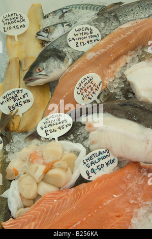 Local seafood and fresh fish with labels on ice at market stall Stock Photo