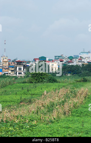 Residential area along the Red River in Hanoi close to the Long Bien bridge Stock Photo