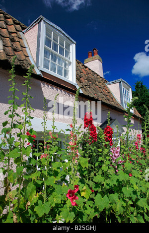 Fenland Cottage Chatteris Hollyhock flowers Cambridgeshire England ...