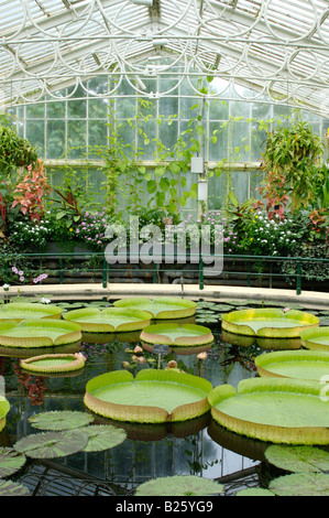 The Waterlily House at Kew Gardens, London Stock Photo