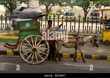 A man prepares his horse drawn cart in Mysore. This type of cart is known as a tanga or sometimes tango. Stock Photo