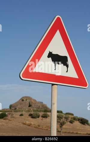 Cattle on road sign at Barumini, Sardinia, Italy. Su Nuraxi nuragic complex - a UNESCO World Heritage Site - is in background Stock Photo