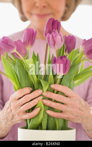 Senior woman arranging flowers Stock Photo