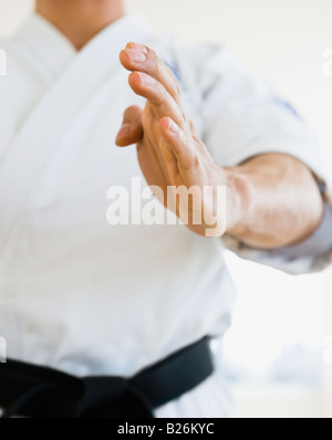 Male karate black belt in fighting stance Stock Photo